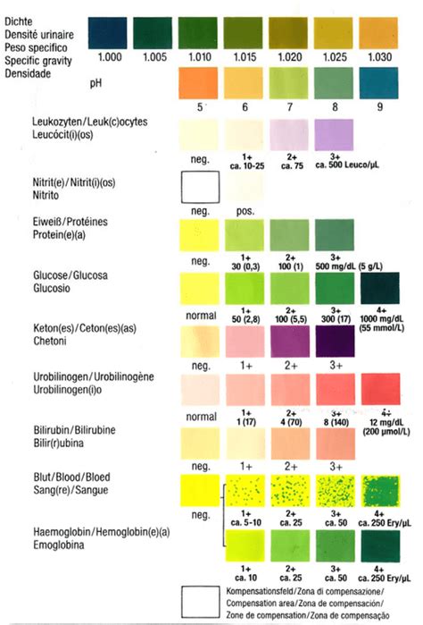 torn seal on urinalysis test|urinalysis interpretation chart.